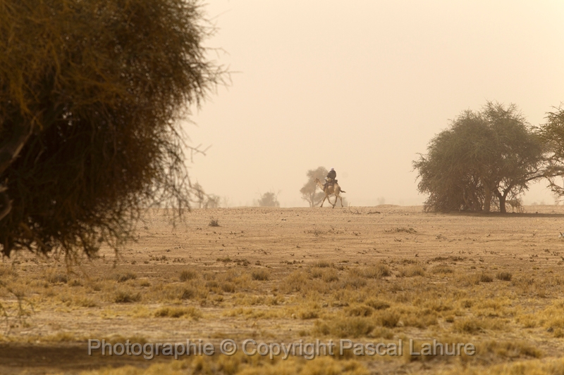 EJ9C4114_FICSA 2016_Pascal_Lahure.JPG